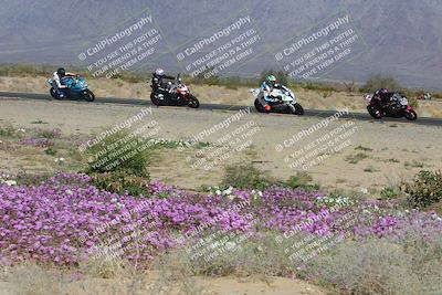 media/Feb-04-2023-SoCal Trackdays (Sat) [[8a776bf2c3]]/Turn 15 Inside Blooming (1050am)/